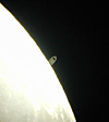 � A. Murner; Saturnbedeckung durch den Mond am 03.11.2001 zwischen 22:00 Uhr und 23:10 Uhr. Aufgenommen mit einer Olympus C 2020 zoom an einem Skywatcher Newton 200/1000, Okularprojektion mit einem 5 mm Easyview-Okular.
