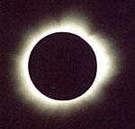 � Oliver Pollmann; Sofi vom 21.06.2001 in Lusaka (Airport/Sambia), Teleopjetiv 500 mm f/8,  Belichtungszeit 1/500 s, Film: Fuji Superia 200 ASA