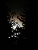  W. Ransburg; Gegen 22h hat sich der Mond schon angekndigt, vorher konnten wir eine Flle von Beobachtungen und Fotografien machen.